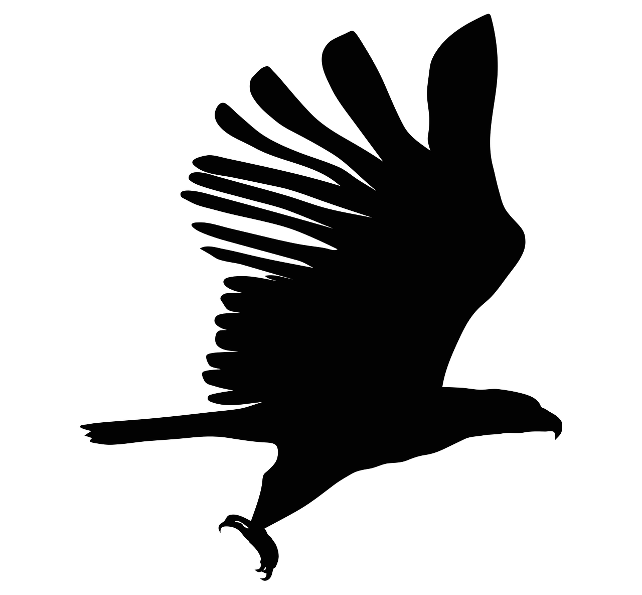 eagle, silhouette, bird-2881544.jpg